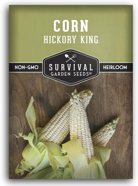 Hickory King Corn Seed for Planting - 1 Packet with Instructions to Plant and Grow White Field or Dent Corn in Your Home Vegetable Garden - Non-GMO Heirloom Variety - Survival Garden Seeds
