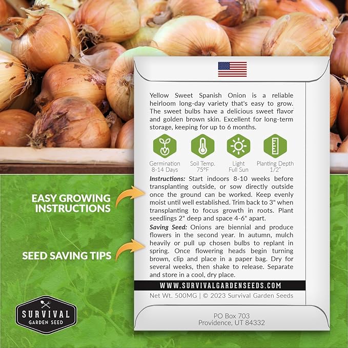 Yellow Sweet Spanish Onion Seed for Planting - 2 Packets with Instructions to Plant and Grow Long Day Onions in Your Home Vegetable Garden - Non-GMO Heirloom Variety - Survival Garden Seeds