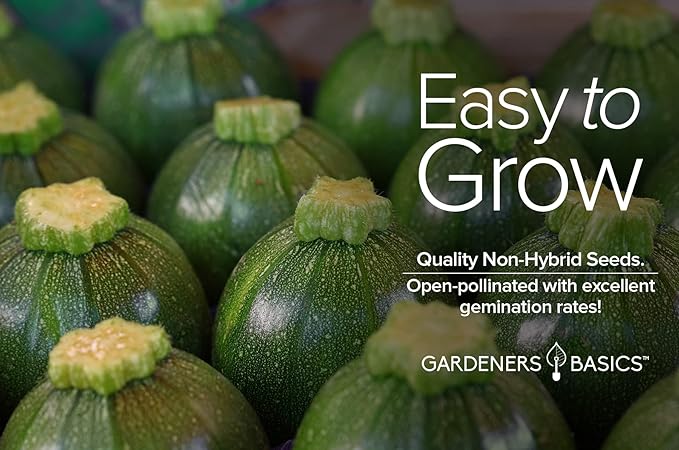 Round Zucchini Seeds for Planting Heirloom, Non-GMO Vegetable Summer Squash Container Variety- 3 Grams Seeds Great for Summer Garden by Gardeners Basics