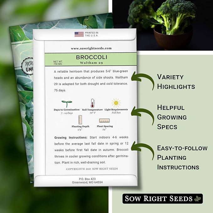 Sow Right Seeds - Waltham 29 Broccoli Seeds for Planting - Non-GMO Heirloom Packet with Instructions to Plant an Outdoor Home Vegetable Garden - Grow Your Own Fresh Green Broccoli - Great Gift (2)
