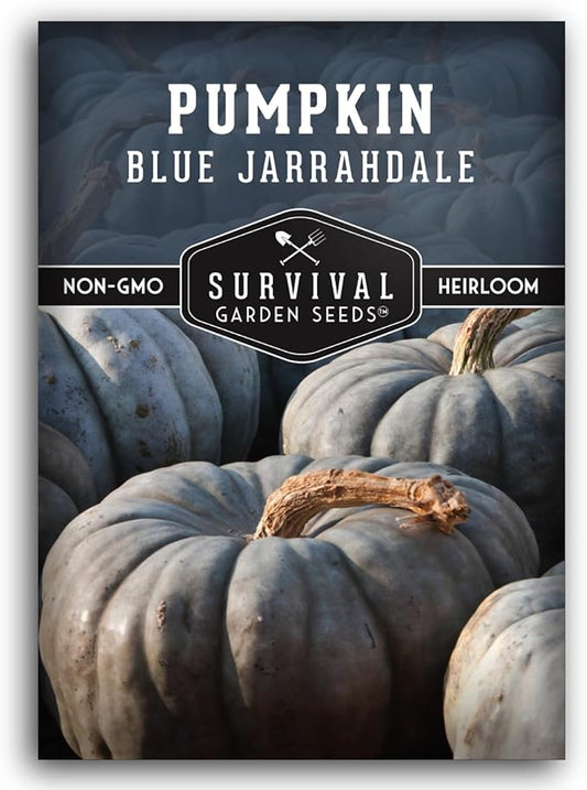 Blue Jarrahdale Pumpkin Seeds for Planting - 1 Packet with Instructions to Plant & Grow Decorative and Flavorful Blue Pumpkins in Your Home Garden - Non-GMO Heirloom Variety - Survival Garden Seeds
