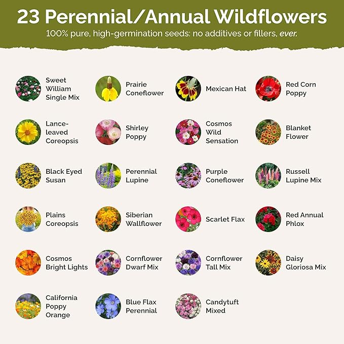 Eden Brothers Midwest Wildflower Mixed Seeds for Planting, 5 lb, 2,400,000+ Seeds with Cornflower, Candytuft, Mexican Hat | Attracts Pollinators, Plant in Spring or Fall, Zones 3, 4, 5, 6, 7, 8, 9, 10