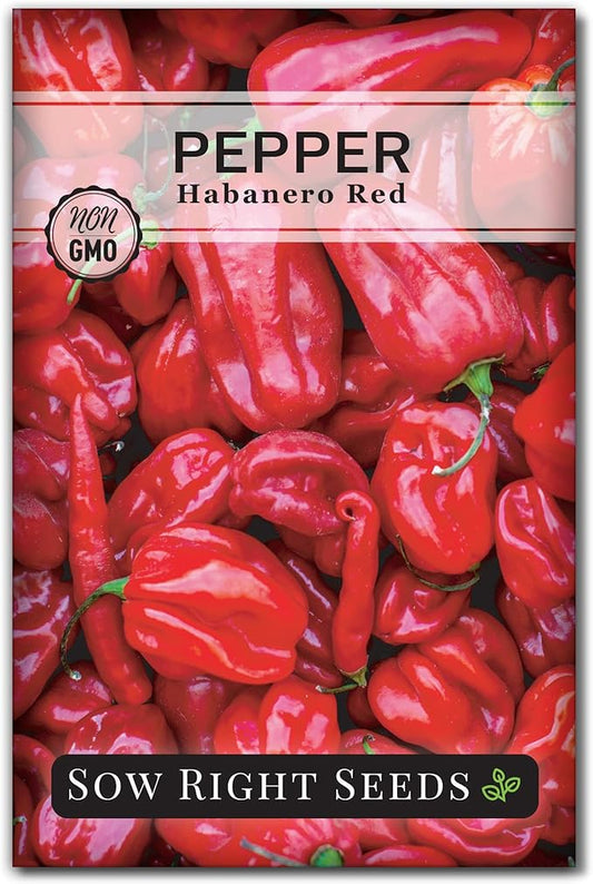 Sow Right Seeds - Habanero Red Pepper Seeds for Planting - Non-GMO Heirloom Packet with Instructions to Plant and Grow an Outdoor Home Vegetable Garden - Super Hot Chili - High Scoville Rating