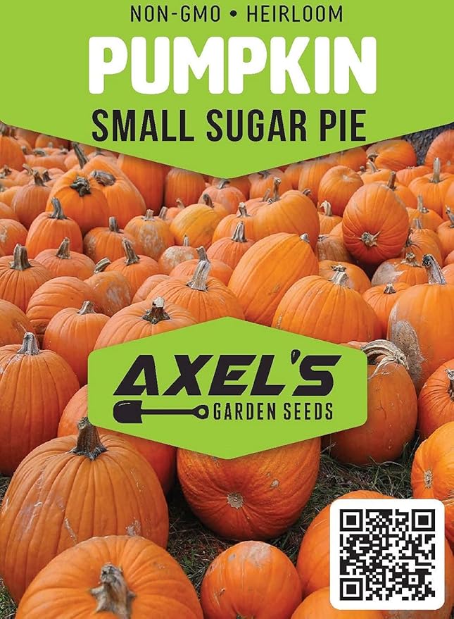 Small Sugar Pumpkin Seeds for Planting - Non-GMO Heirloom Packet with Instructions to Plant a Home Vegetable Garden - Great Gardening Gift - 25 Seeds Per Pack (2 Packets)
