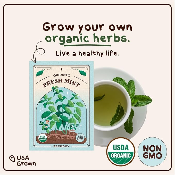 Organic Peppermint Herb Seeds for Indoor Gardening or Planting Outdoors, Non-GMO and USDA Certified Herb Seed Packets, 250 Seeds/20 mg (Peppermint)