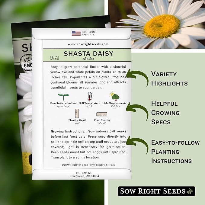 Sow Right Seeds - Shasta Daisy Flower Seeds for Planting - Non-GMO Heirloom Packet with Instructions - Attract Butterflies and Excellent for Cutting - White Blossom with Yellow Centers (1)
