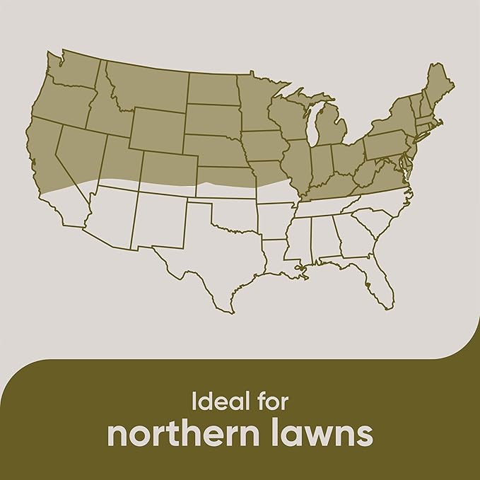 Scotts Pursue Sheep Fescue with Natural Seed, Seeding for Large Areas, 2 lbs. (Pack of 3)