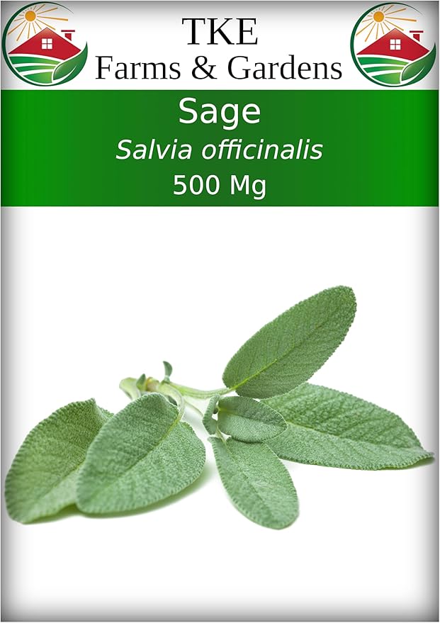 TKE Farms & Gardens - Sage Seeds for Planting - 120+ Heirloom Non-GMO Sage Seeds, Ideal for Indoor & Outdoor Gardens, Great for House Plant Seeds, Salvia officinalis, Includes Growing Instruction