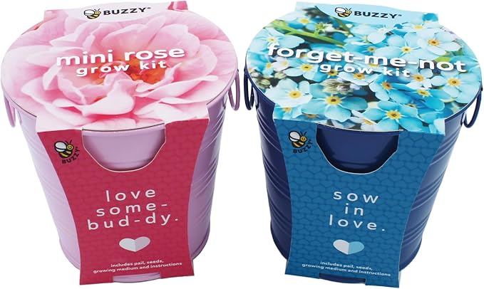 Buzzy Seeds Painted Love Pails | Flower Starter Kit for Kids & Adults | 2-Pack | Mini Rose and Forget-Me-Not Seeds | Guaranteed to Grow | Best Indoor Grow Your Own Plant Gardening Gift