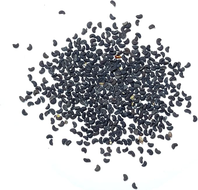 Seed Needs Rue Seeds for Planting - Non-GMO, Heirloom & Untreated Perennial Herbs - Organically Grow a Home Grown Medicinal Herb Garden Indoors or Outdoors (1 Pack)