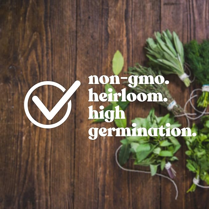 Large Leaf Sorrel Herb Seeds for Planting - 1 Gram 500+ Seeds - Non-GMO, Heirloom - Culinary Sorrel Herb Plant Seeds - Home Garden Herb Seeds - Sealed in a Beautiful Mylar Package