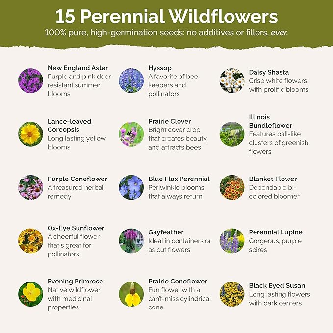 Eden Brothers Midwest All Perennial Wildflower Mixed Seeds for Planting, 5 lb, 2,400,000+ Seeds with Hyssop, Shasta Daisy | Attracts Pollinators, Plant in Spring or Fall, Zones 3, 4, 5, 6, 7, 8, 9, 10