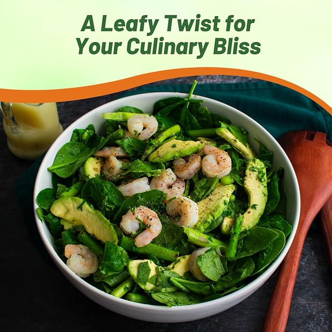 Outsidepride 100 Seeds Perennial Basella Rubra Malabar Spinach Herb Seeds for Planting