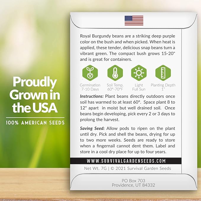 Survival Garden Seeds - Royal Burgundy Bean Seed for Planting - 3 Packs with Instructions to Plant and Grow Stringless Purple Bush Beans in Your Home Vegetable Garden - Non-GMO Heirloom Variety