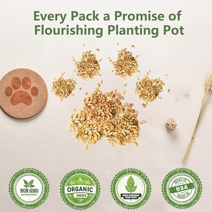 Cat Grass for Indoor Cats - Cat Grass Seeds Kit - Organic Cat Grass Growing Kit with High Germination Organic Wheat Seeds, Soil, and Planting Tools - Natural Hairball Control and Digestion Remedy