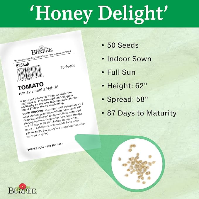 Burpee 'Honey Delight' Hybrid | Yellow Slicing Saladette Tomato | 50 Non-GMO Seeds