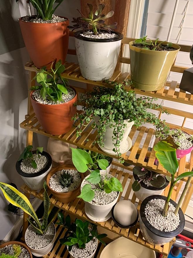 Voulosimi Garden Pumice Rock Horticultural Cactus Bonsai Succulent Soil Additive for Plants, Landscaping, Vase Fillers (3/8 inch, 6 LB)