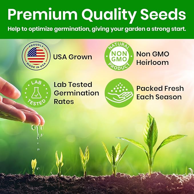 NatureZ Edge Marigold Seeds Mix, Over 5600 Seeds, Marigold Seeds for Planting Outdoors, Dainty Marietta, Petite French, Sparky French, and More