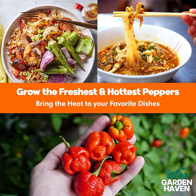 Trinidad Scorpion Chocolate Habanero Grow Kit - All in One Starter Grow Kit - Grow The Hottest Peppers Garden Grow Kit Seeds Included