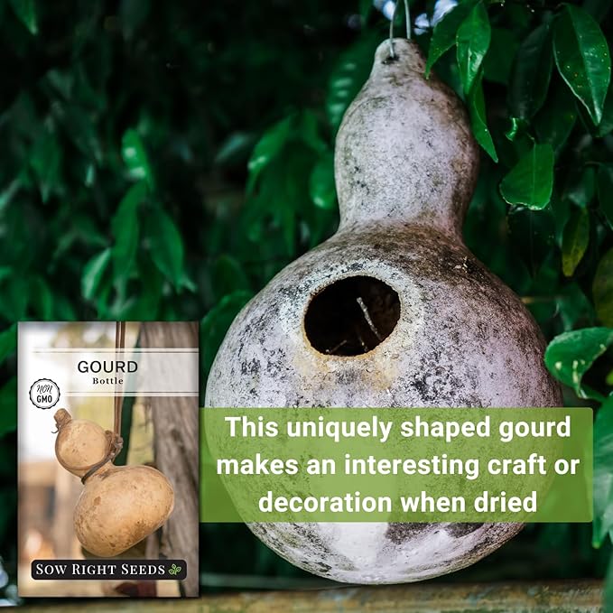 Sow Right Seeds - Bottle Gourd Seed for Planting - Non-GMO Heirloom Packet with Instructions to Plant and Grow an Outdoor Home Vegetable Garden - Ornamental Birdhouse Gourd for Crafting and Decor (2)