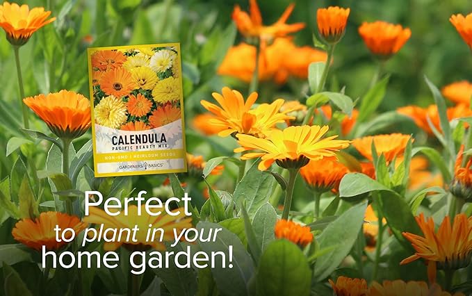 Gardeners Basics, Calendula Seeds for Planting (Pacific Beauty Mix) - Annual Flower Seeds Great for Cut Flower Gardens, Herbal Tea and for Medicinal Purposes, Open Pollinated Flower Seed