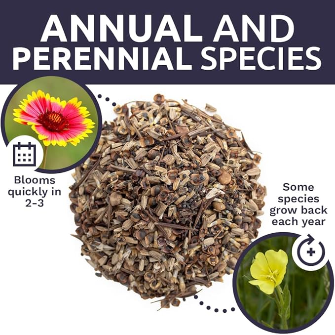 Texas Oklahoma Wildflower Seeds Mixture - Bulk 1/4 Pound Bag - Over 60,000 Native Seeds - Open Pollinated and Non GMO