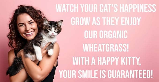 Ornamental Indoor Planter with Pet/Cat Grass Growing kit, Handcrafted in The USA from Red Cedar (AgedWash)