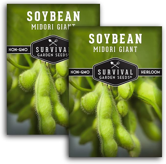 Survival Garden Seeds - Midori Giant Soybean Seed for Planting - 2 Packs with Instructions to Plant and Grow Protein-Rich Edamame Pods in Your Home Vegetable Garden - Non-GMO Heirloom Variety