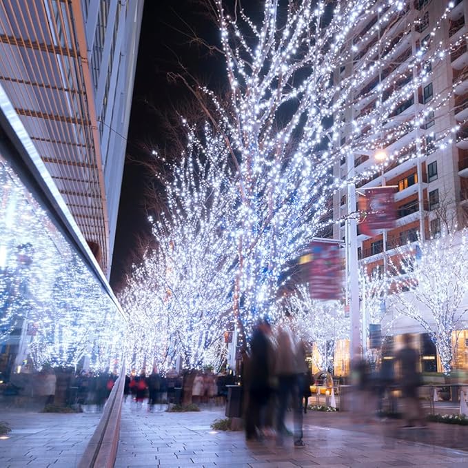 Fairy Lights Plug in,164FT 1000 LEDs Waterproof String Lights,Twinkle Light with Remote for Outdoor Indoor Christmas Wedding Birthday Garden Party Decorations,2 Inch Space,Cool White