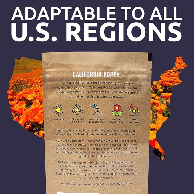 California Orange Poppy Wildflower Seeds - Bulk 1/4 Pound Bag - Over 80,000 Native Seeds - California State Flower!