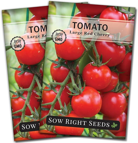 Sow Right Seeds - Large Red Cherry Tomato Seeds for Planting - Non-GMO Heirloom Packet with Instructions to Plant a Home Vegetable Garden - Tasty Snacking Variety, Start Indoors - Indeterminate (2)
