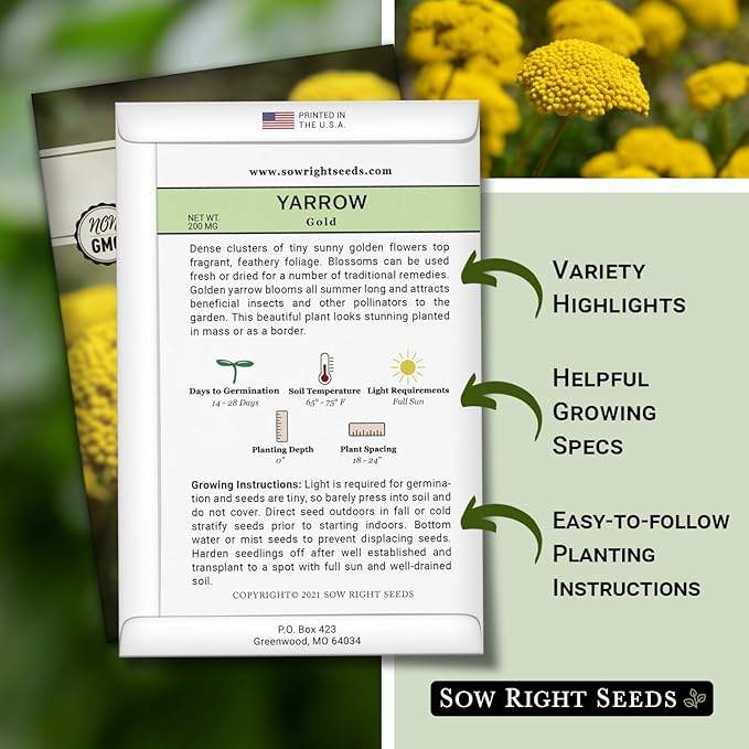 Sow Right Seeds - Achillea Yarrow Gold Flower Seeds for Planting - Flowers to Plant in Your Garden - Non-GMO Heirloom Packet with Instructions - Favorite Perennial to Attract Pollinators (4)