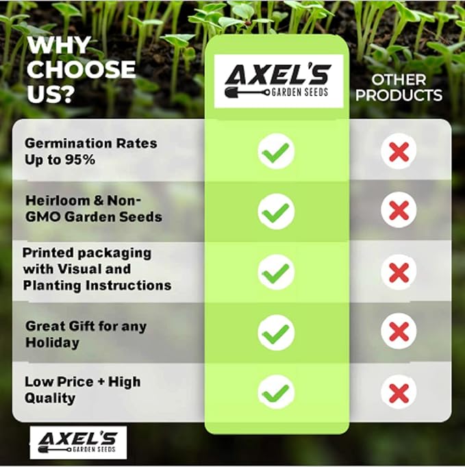 Small Sugar Pumpkin Seeds for Planting - Non-GMO Heirloom Packet with Instructions to Plant a Home Vegetable Garden - Great Gardening Gift - 25 Seeds Per Pack (2 Packets)