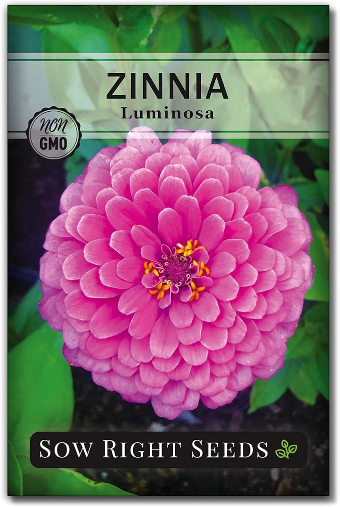 Sow Right Seeds - Collection of Pink Flower Seeds for Planting - Non-GMO Heirloom Packets with Instructions - Wonderful Rosy Blooms to Attract Pollinators - Cut and Come Again - Rare Varieties