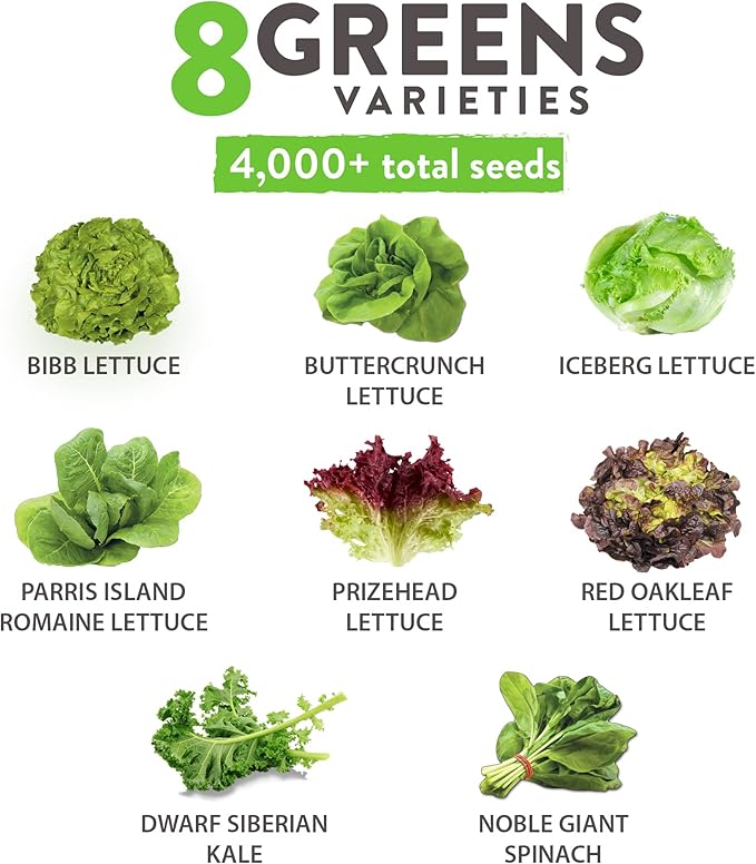 HOME GROWN 8 Lettuce & Salad Greens Seed Vault - 4,000+ Non-GMO Vegetable Seeds for Outdoors or Indoors - Seeds for Planting Hydroponic Garden
