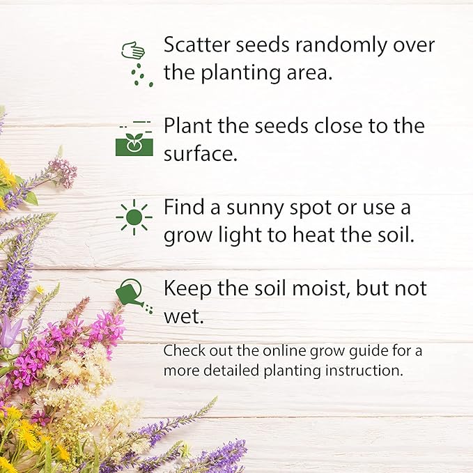 HOME GROWN 49,000+ Wildflower Seeds: (2oz) Bulk Mix, 21 Varieties Wild Flower Mix - Bee and Butterfly Garden Pack - Native Annual Flowers for Planting for Your Garden