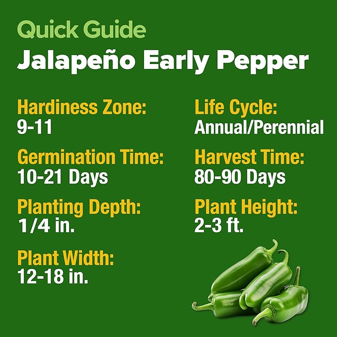 HOME GROWN Jalapeno Pepper Seeds (Capsicum annuum) - High Germination, Non-GMO Heirloom Seeds - 129 Hot Pepper Seeds for Planting - Easy to Grow, Early Harvest Jalapeno Seeds for Enthusiast