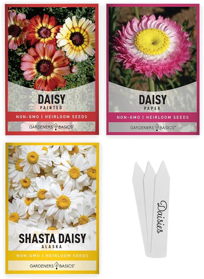 Gardeners Basics, Daisy Seeds for Planting Outdoors Flower Seeds (3 Variety Pack) Alaska Shasta Daisy, Painted Daisy, Yellow Daisy Varieties for Butterflies, Bees, Pollinators Wildflower Seed
