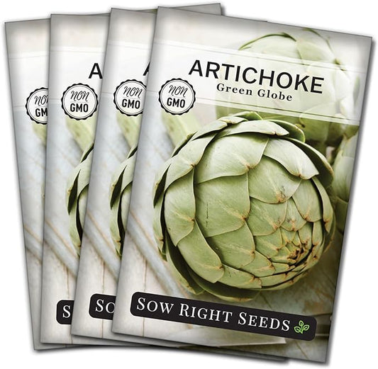 Sow Right Seeds - Artichoke Green Globe Seeds for Planting - Non-GMO Heirloom Packet with Instructions to Plant and Grow an Outdoor Home Vegetable Garden - Perennial - Tall with Edible Flower Buds (4)