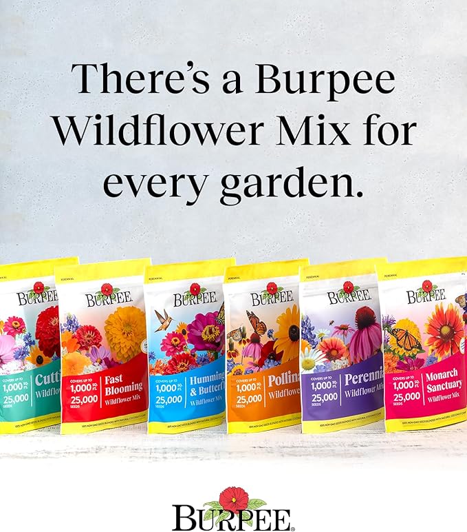 Burpee Wildflower Mix Monarch Sanctuary Seeds | 25,000 Non-GMO Seeds, 3 Types of Butterfly Weed Plus Cornflower, Lupine, Echinacea, and More | Pollinator Garden Attracts Monarch Butterflies