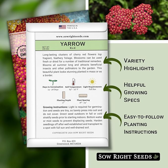 Sow Right Seeds - Achillea Yarrow Red Seeds for Planting - Flowering Herb to Plant in Your Home Garden - Non-GMO Heirloom Packet with Instructions - Favorite Perennial to Attract Pollinators