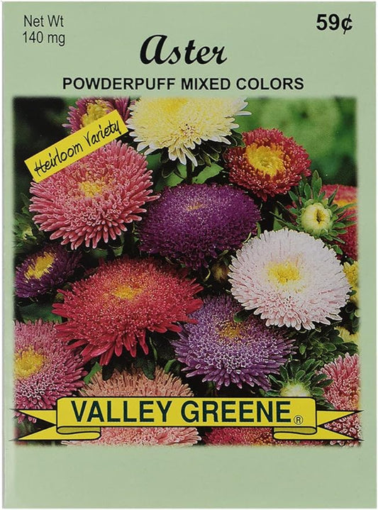 Set of Flower Seed Packets! Flower Seeds in Bulk - Great for Creating The Garden of Your Dreams! (200, Aster - Powderpuff Mix)