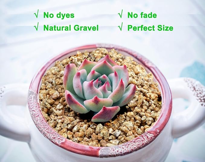 2.4lb Succulent and Cactus Maifanitum Stones, Décor & Additive Rocks,DIY Rocks Gravel for Bonsai, Fairy Gardening, Vases Fillers, Terrarium