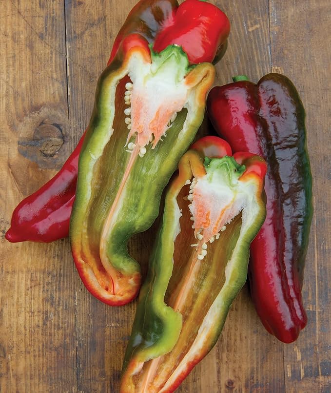 Burpee Thunderbolt Hybrid Sweet Italian Roasting Pepper Seeds | 20 Non-GMO Seeds | Vegetable Seeds for Planting | Grow Your Own Fresh Bell Pepper Live Plants