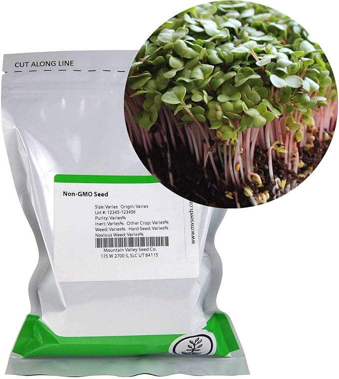 Radish Sprouting Seed - Red Arrow Variety - 4 oz Seed Pouch - Heirloom Radish Sprouts - Non-GMO Sprouting and Micro Greens