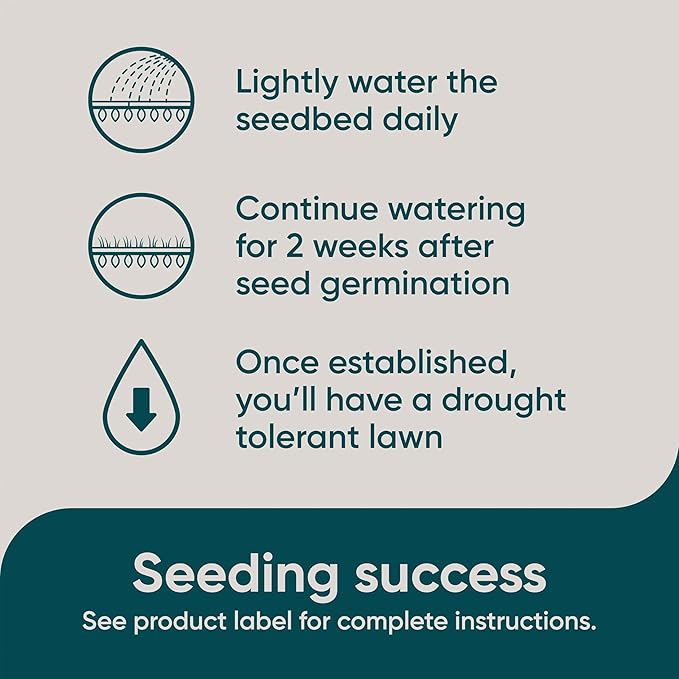 Scotts Pursue Buffalograss with Natural Seed, Seeding for Large Areas, 1 lb.