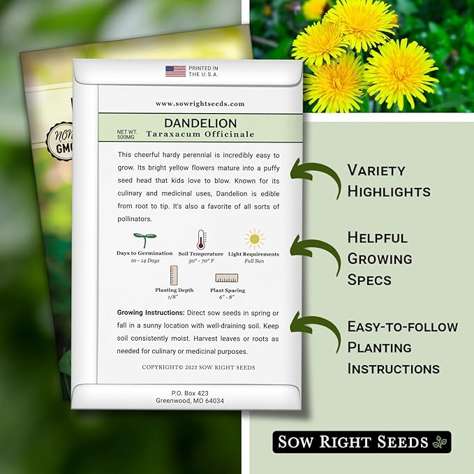 Sow Right Seeds - Common Dandelion Seeds for Planting - Non-GMO Heirloom Packet with Instructions to Grow an Outdoor or Indoor Herb Garden - Herbal Teas & Medicinal Uses - Great for Wildlife (4)