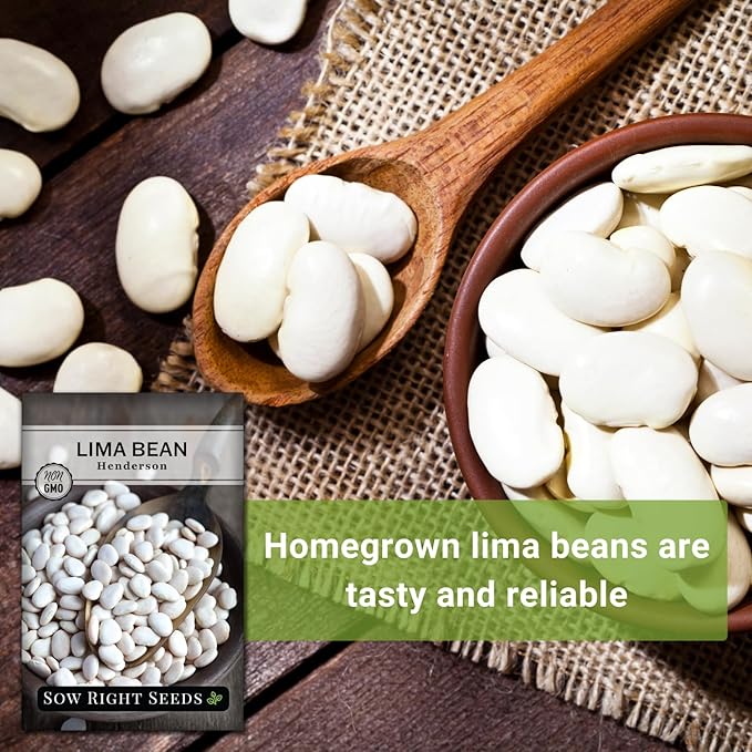 Sow Right Seeds - Bush Henderson Lima Bean Seeds for Planting - Non-GMO Heirloom Packet, Instructions to Plant an Outdoor Home Vegetable Garden - White Lima Variety - Great for Canning or Freezing (1)