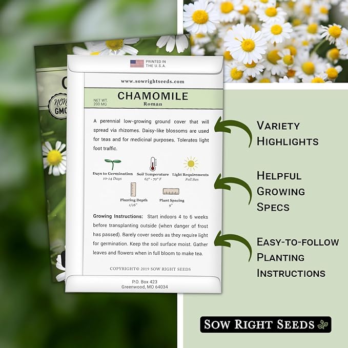 Sow Right Seeds - Roman Chamomile Seeds for Planting - Non-GMO Heirloom Packet with Instructions to Grow an Herbal Tea Garden - Indoors or Outdoor - Low Growing with Small Daisy-Like Blooms (1)