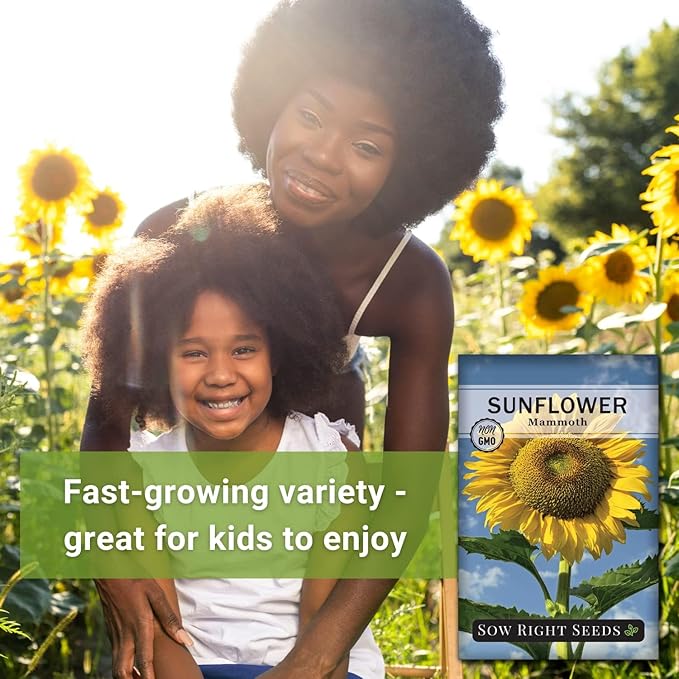 Sow Right Seeds - Mammoth Sunflower Seeds to Plant - Grow Giant Sunflowers in Your Garden - Non-GMO Heirloom Seeds for Planting an Outdoor Garden - Bright Yellow Blooms - Attract Bees and Birds (1)
